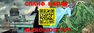 амф Обь