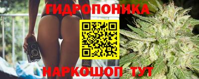 амф Обь