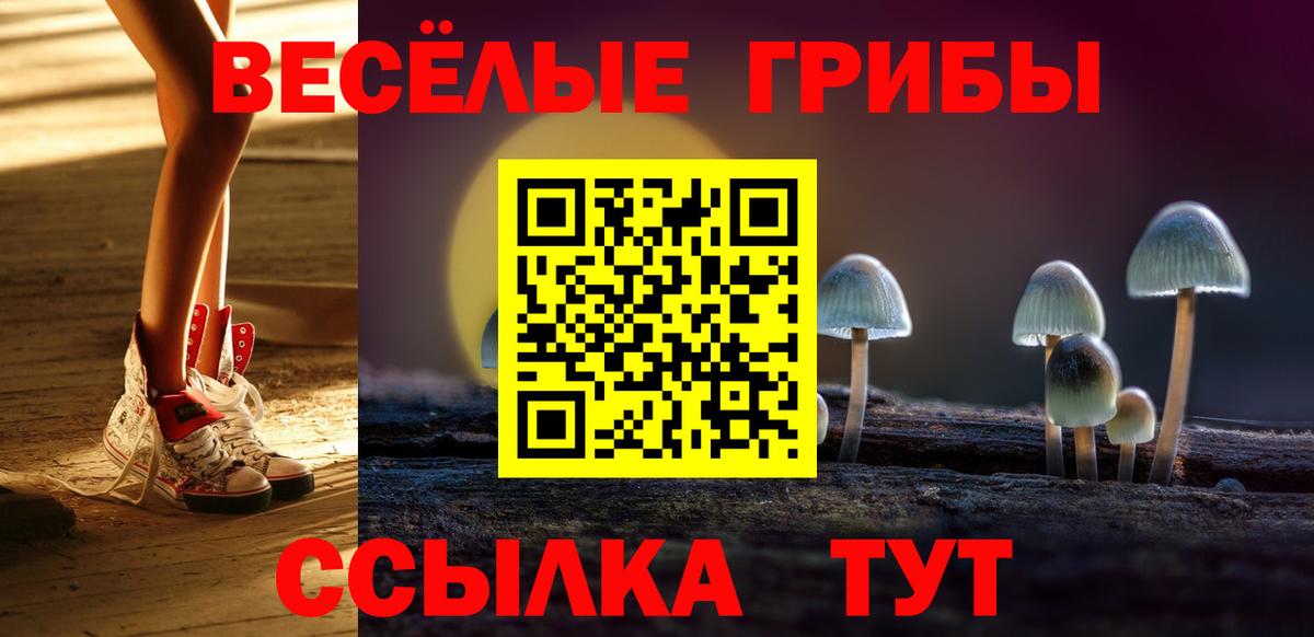 Псилоцибиновые грибы мухоморы Сертолово
